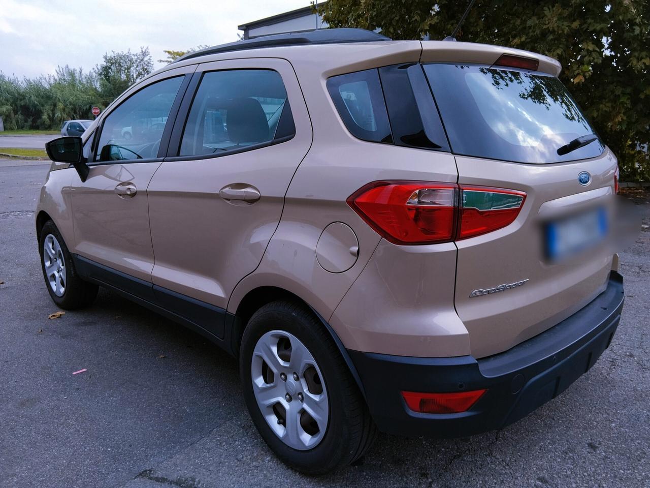 Ford EcoSport 1.0 EcoBoost 100 CV Business