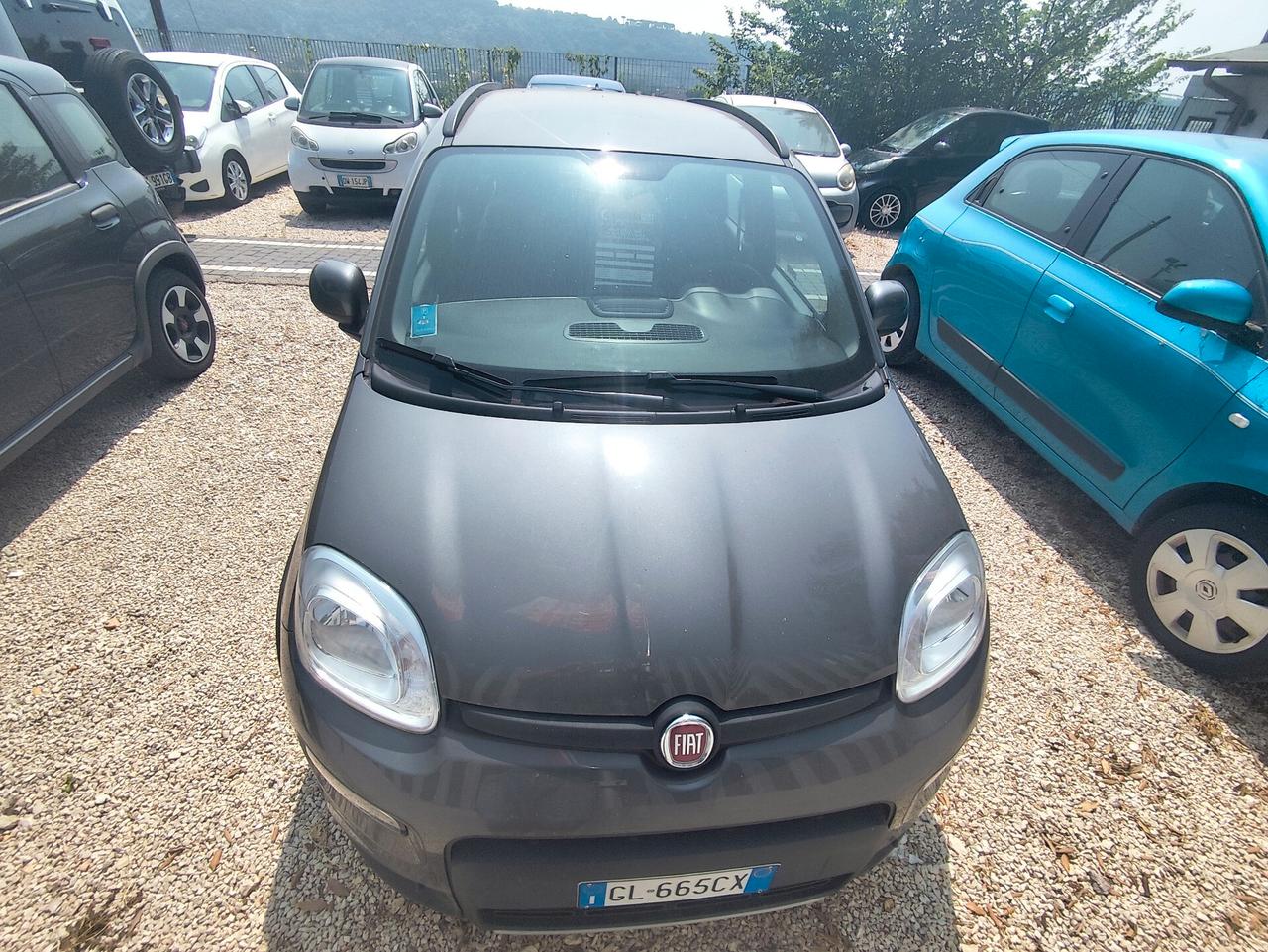 Fiat Panda 1.0 FireFly S&S Hybrid