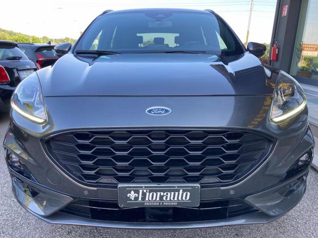 FORD Kuga 1.5 EcoBlue 120 CV 2WD ST-Line