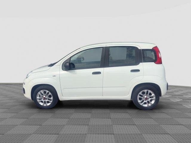 FIAT Panda Panda 1.2 EasyPower Easy
