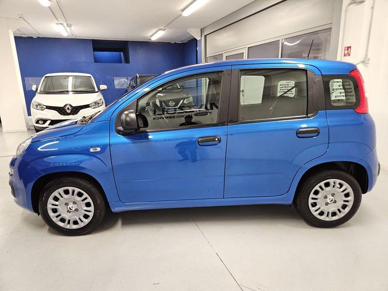FIAT Panda 1.0 FireFly 70cv S&S Hybrid Pandina