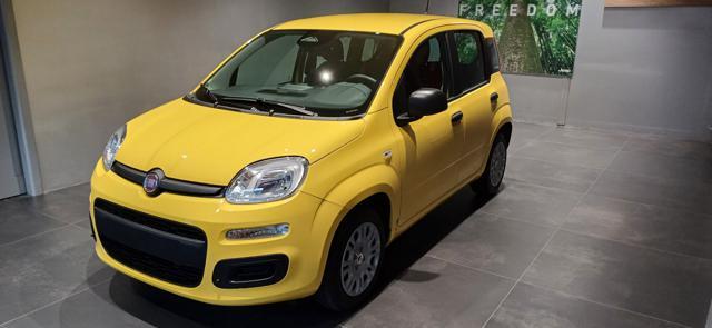 FIAT Panda 1.0 FireFly S&S Hybrid ICON