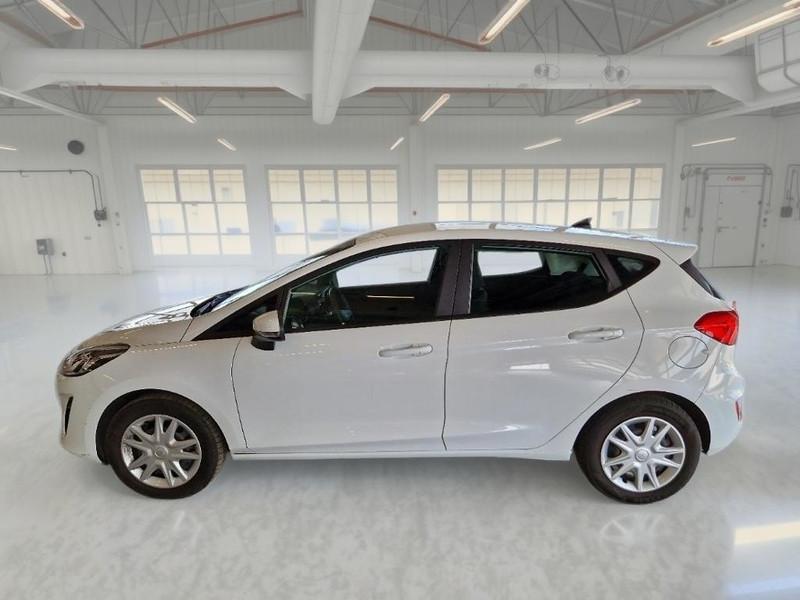 FORD FIESTA 1.5 EcoBlue 85CV Business 5 PORTE