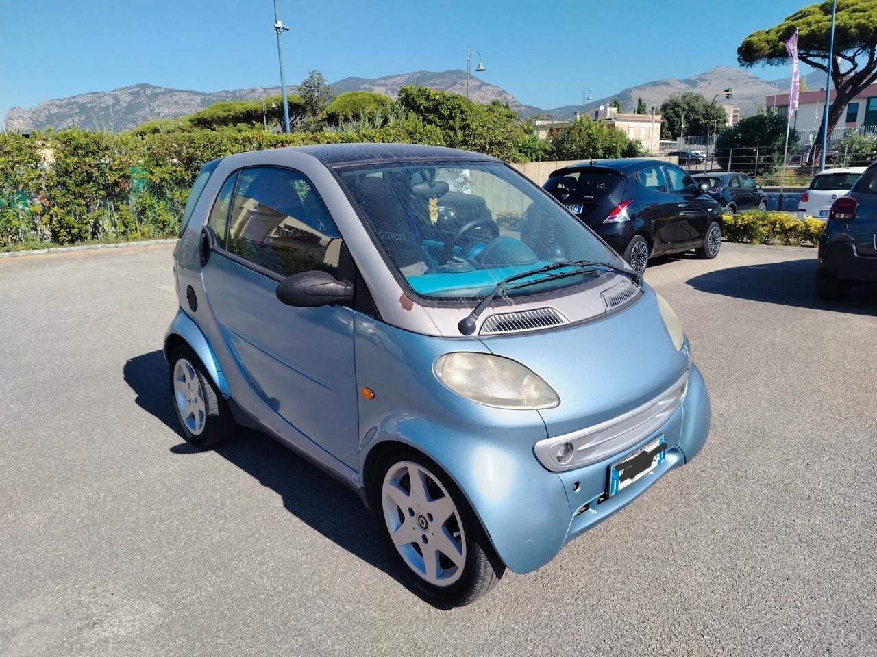 Smart 600 & passion