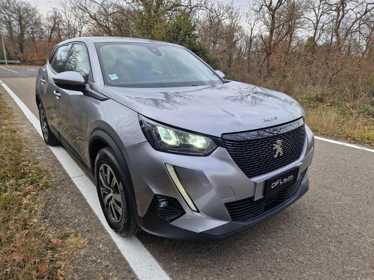 Peugeot 2008 BlueHDi 110 S&S ACTIVE