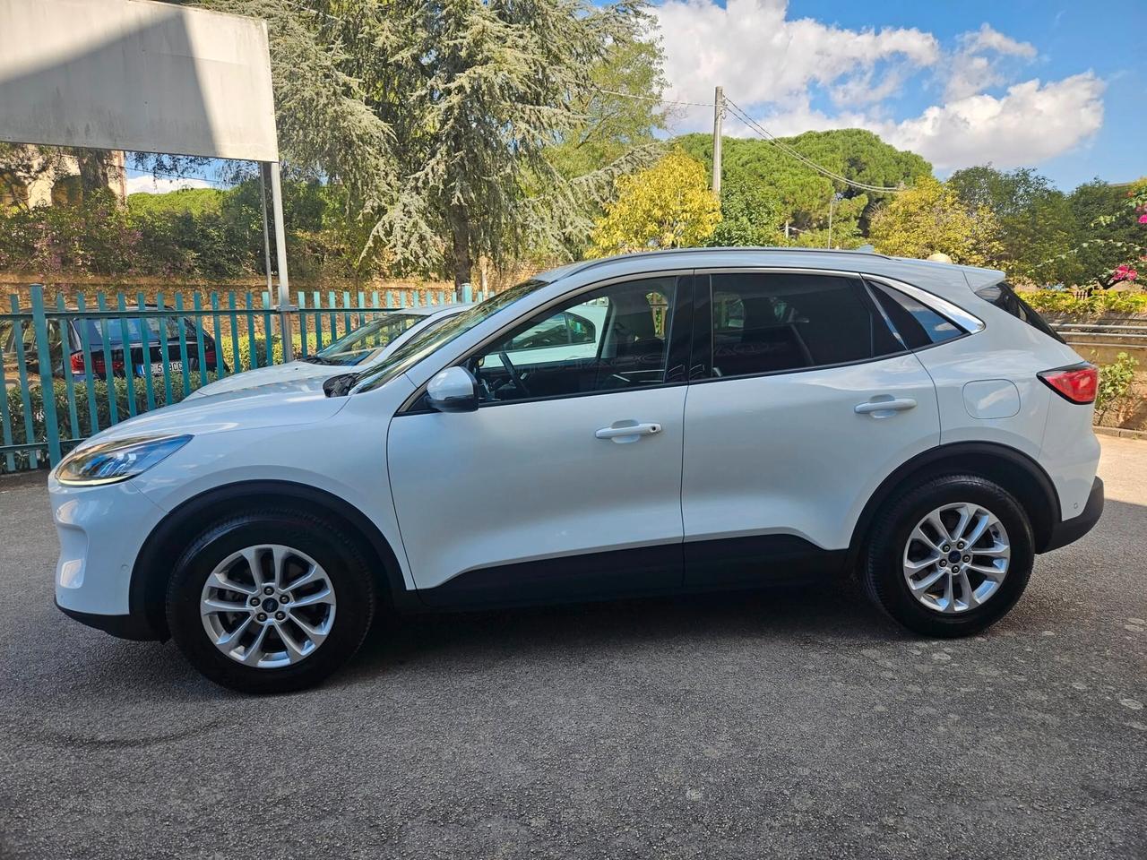 Ford Kuga 1.5 EcoBlue 120 CV 2WD Titanium