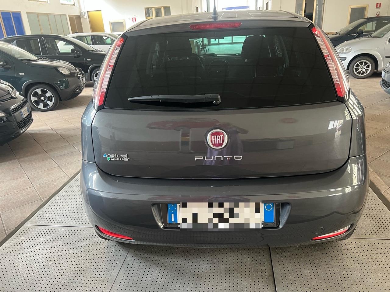 Fiat Punto 1.4 8V 5 porte Natural Power Street