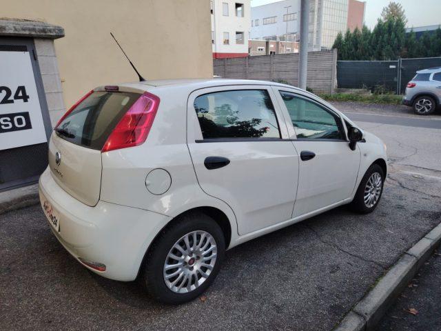 FIAT Punto 1.2 8V 5 porte Street NEOPATENTATI