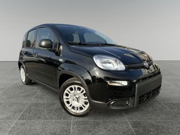 FIAT Panda 1.0 FireFly S&S Hybrid Pandina