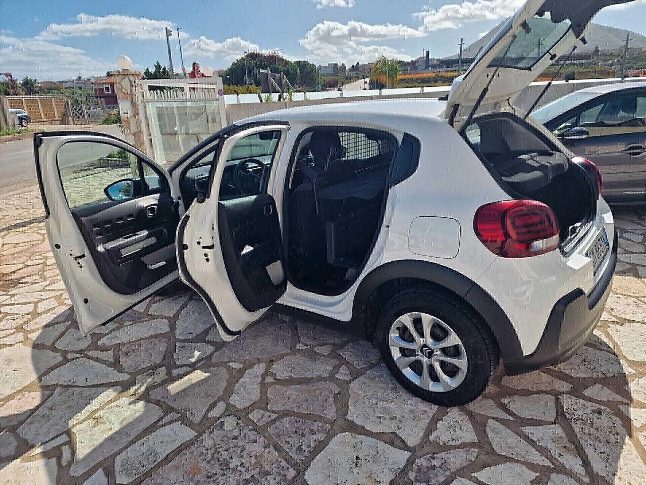 Citroen C3 BlueHDi 100CV Van Feel 2023