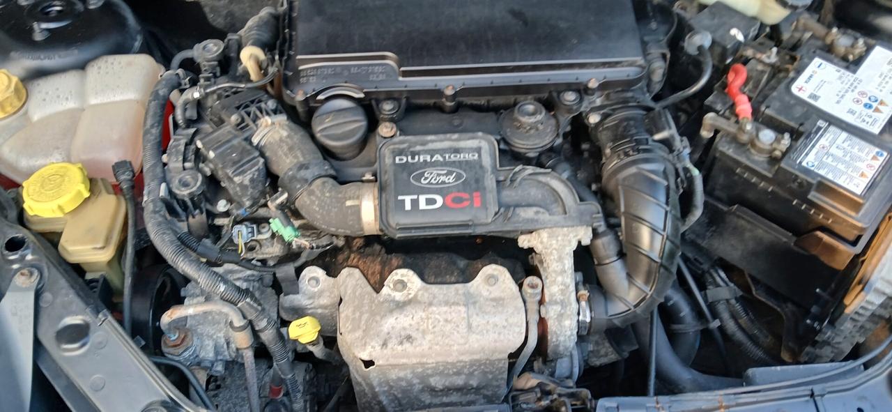 Pochi km diesel neopatentati Ford fiesta