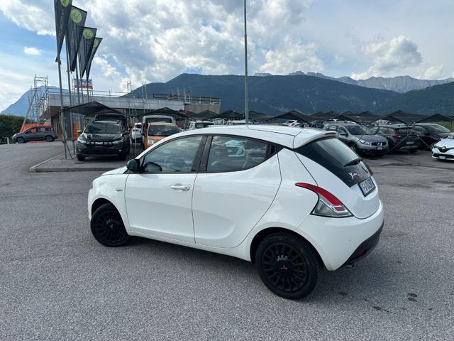 LANCIA Ypsilon 1.2 69 CV 5 porte Elefantino