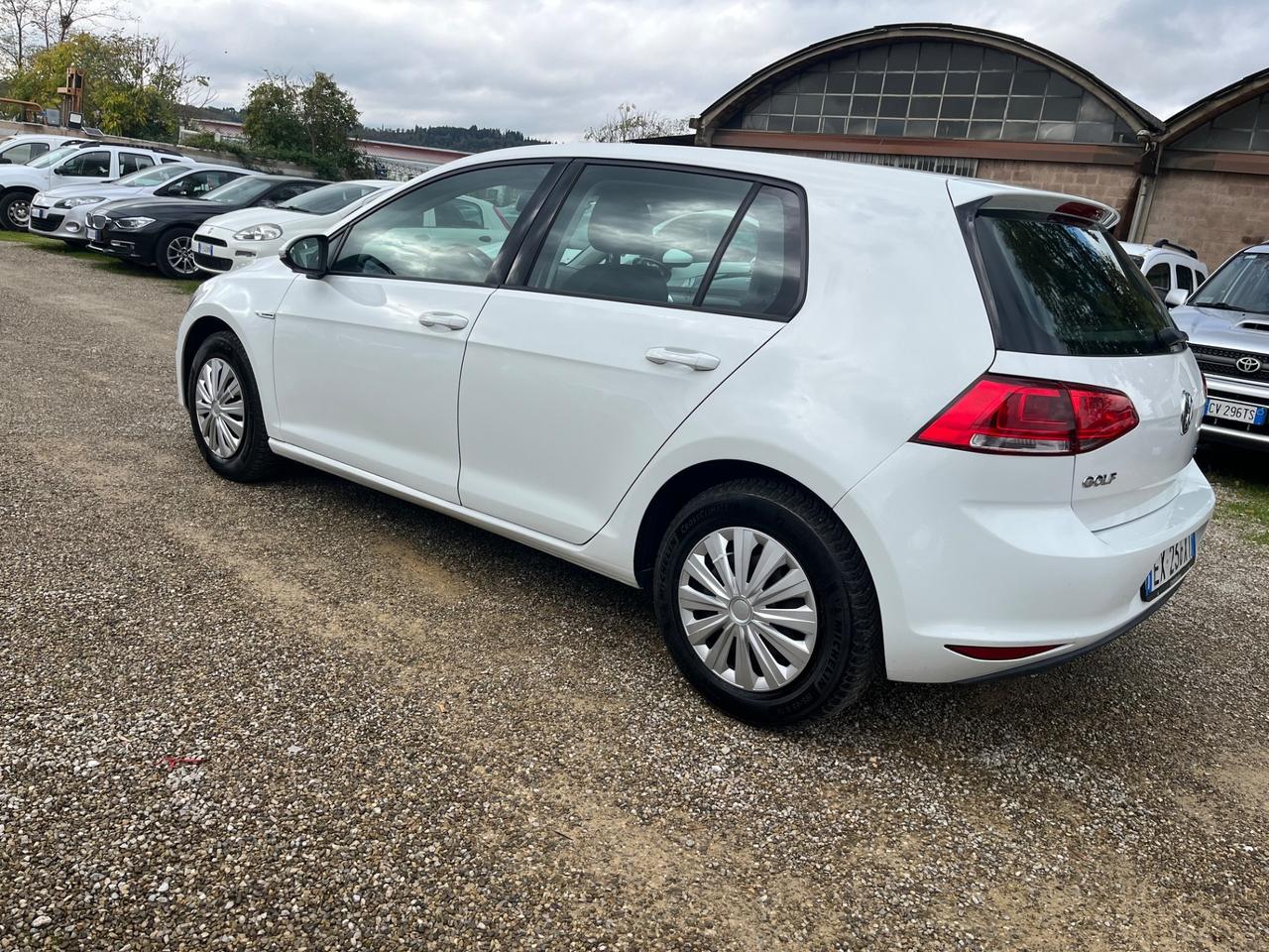 Volkswagen Golf Business 1.4 TGI 5p. Comfortline BlueMotion
