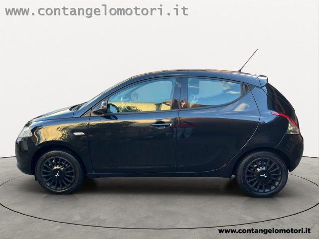 LANCIA Ypsilon 1.2 69 CV 5 porte Elefantino