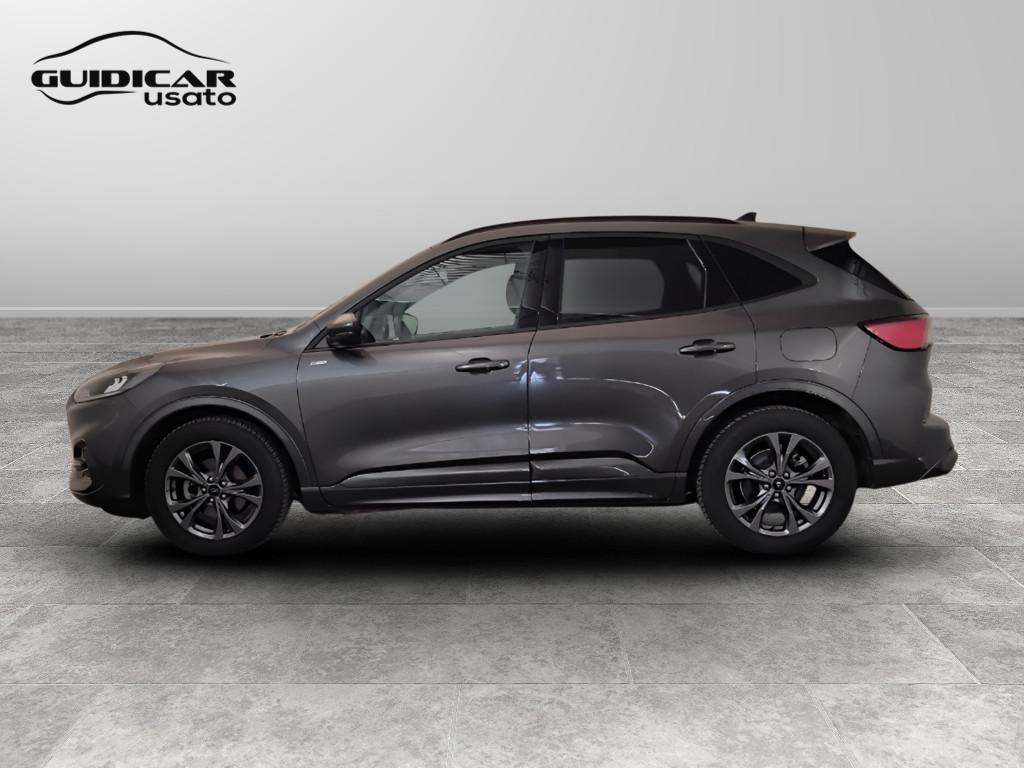 FORD Kuga III 2020 - Kuga 2.0 ecoblue ST-Line 2wd 120cv auto