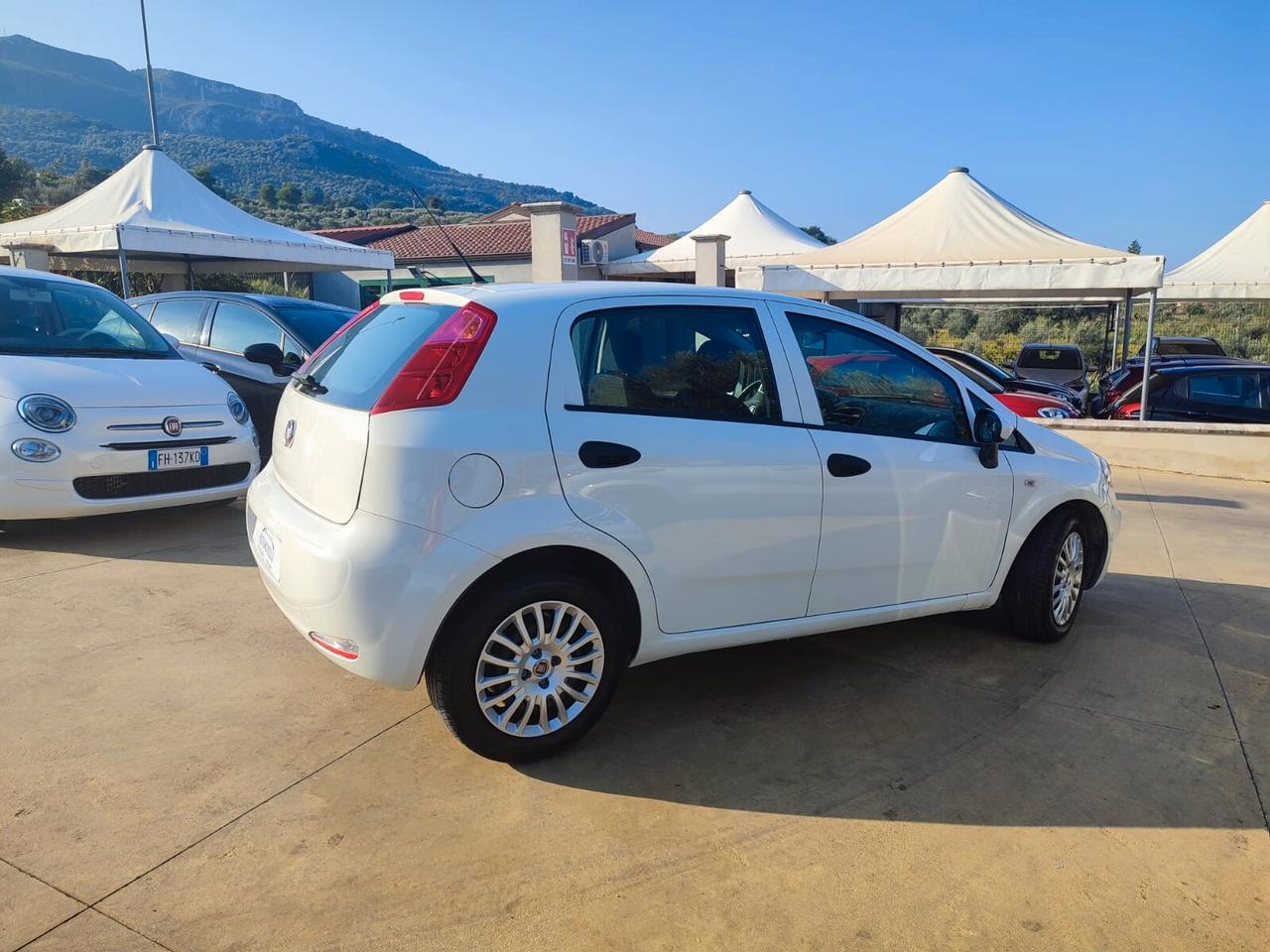 Fiat Punto 1.3 MJT 95CV S&S 5 porte 4 posti N1