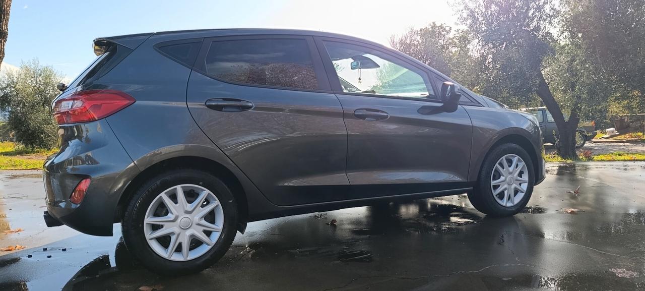 Ford Fiesta Ecoboost 95 CV 5 porte Connect