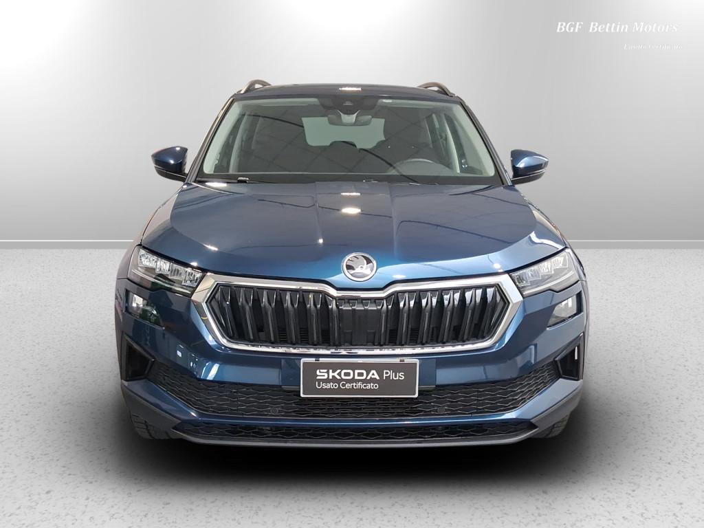 Skoda Karoq 2.0 tdi evo Executive 115cv dsg