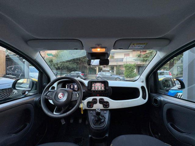 FIAT Panda 1.0 FireFly Pandina *PREZZO PROMO*