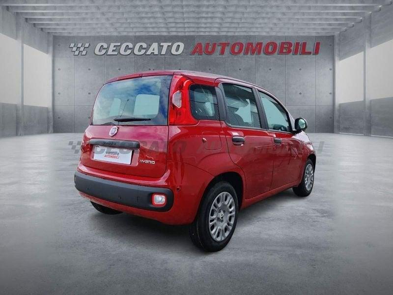 FIAT Panda Panda 1.0 firefly hybrid s&s 70cv