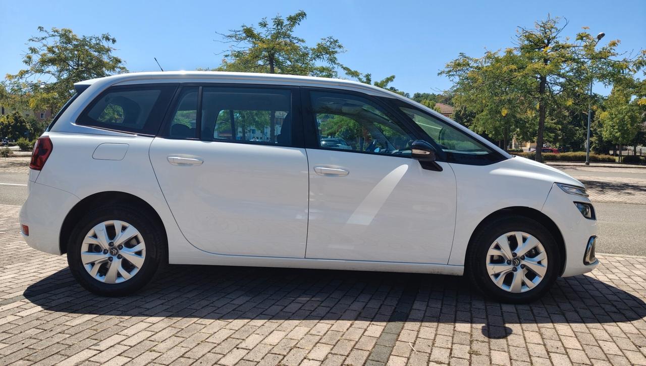 Citroen Grand C4 SpaceTourer Grand C4 SpaceTourer BlueHDi 130 S&S EAT8 Shine