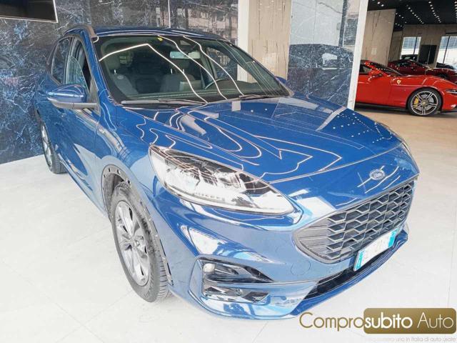 FORD Kuga 1.5 EcoBlue 120 CV 2WD Titanium Business