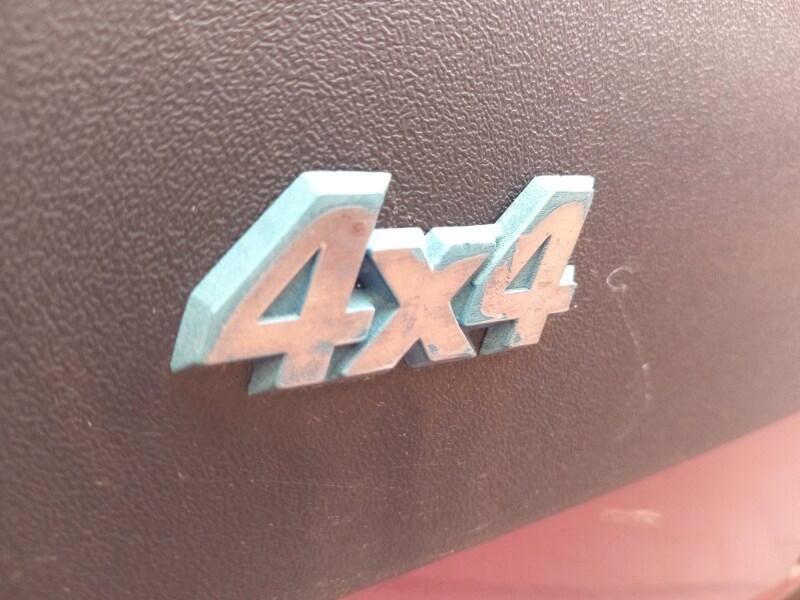 FIAT Panda 1ª serie 1100 i.e. cat 4x4 Trekking
