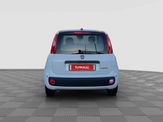 FIAT Panda Pandina 1.0 FireFly 65 CV Hybrid Icon