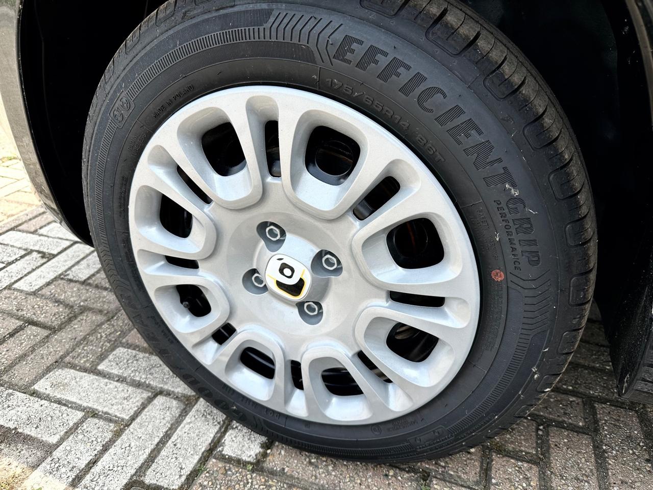 Fiat Panda 1.0 FireFly S&S Hybrid KM ZERO