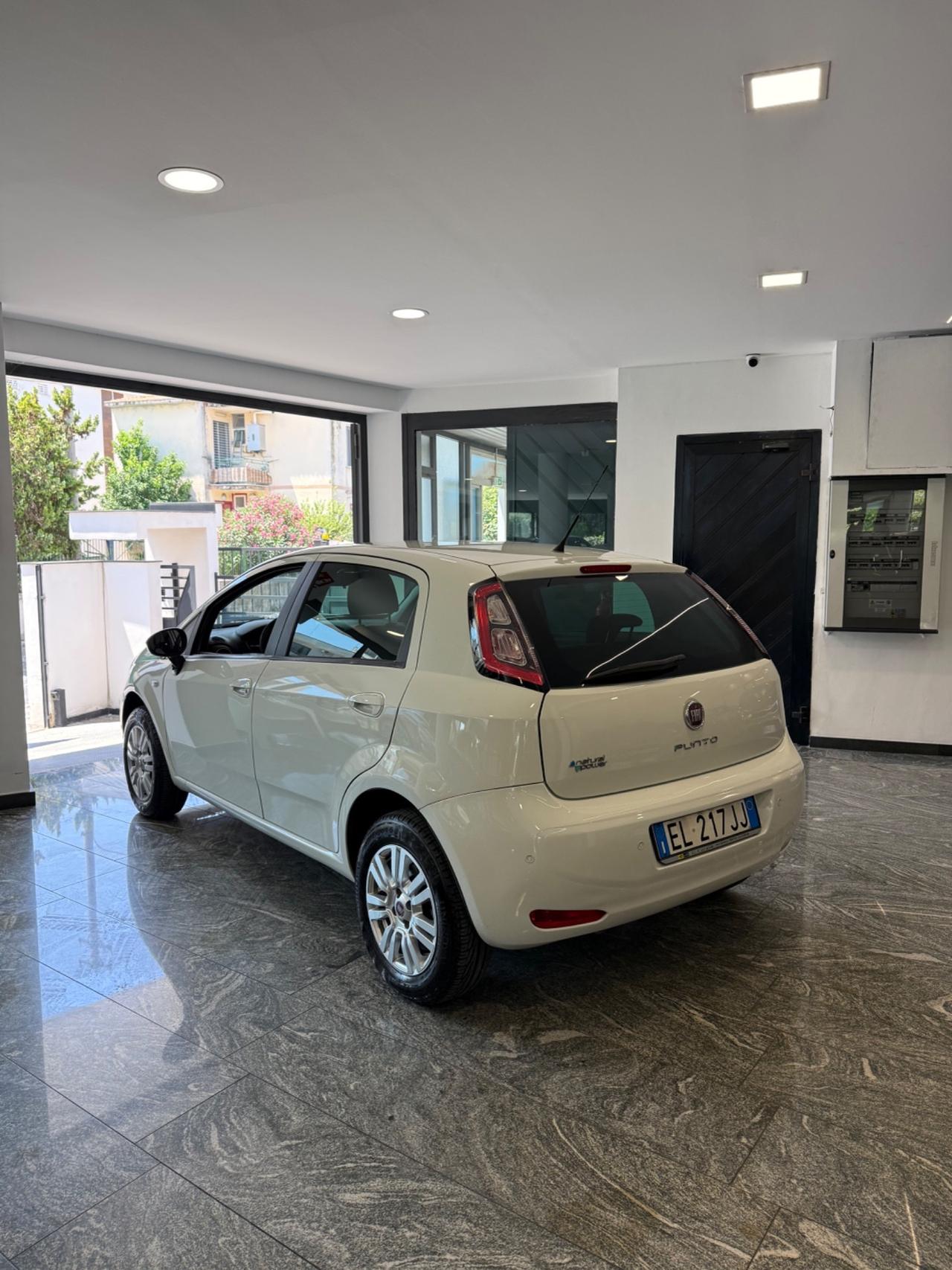 Fiat Punto 1.4 8V 5 porte Natural Power Pop
