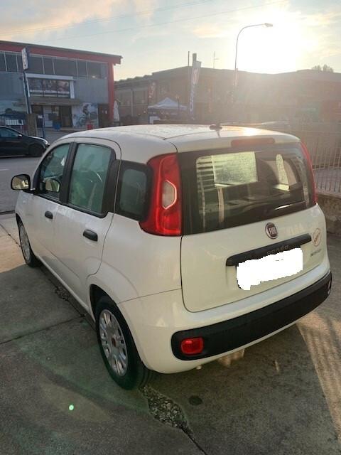 Fiat Panda 1.0 FireFly S&S Hybrid Easy