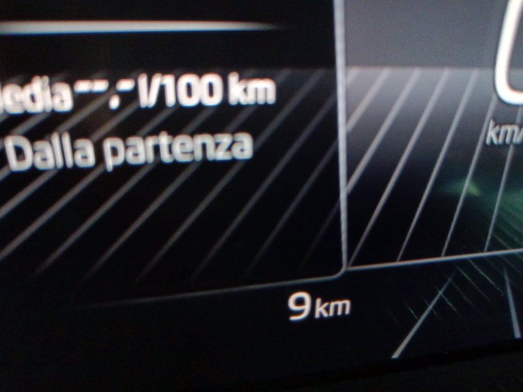 SKODA Fabia 1.0 tsi evo selection 95cv del 2024