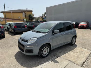 Fiat Panda 1.2 cc 69cv Gpl