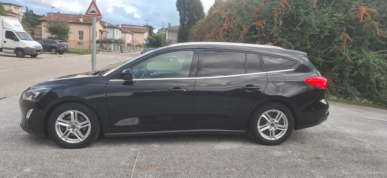 Ford Focus 1.5 EcoBlue 120 CV automatico 5p. Business Co-Pilot