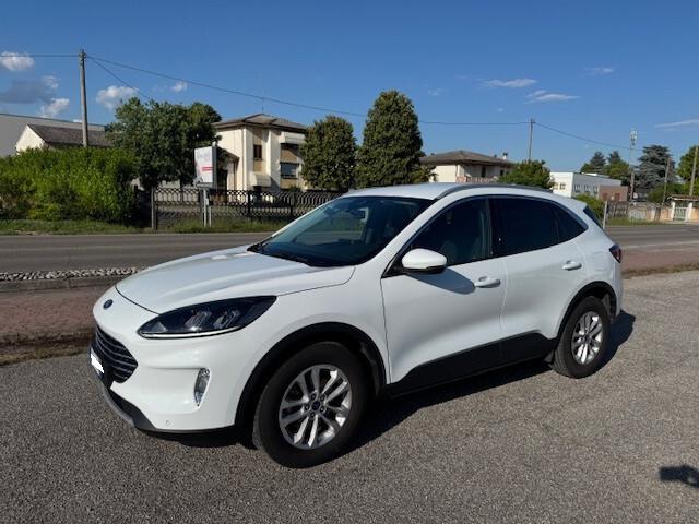 Ford Kuga 2.0 EcoBlue 120 CV aut. 2WD Titanium Business-UNICO PROPRIETARIO
