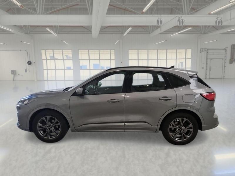 FORD KUGA 1.5 ECOBLUE 120 CV 2WD ST-LINE AUTO SUV