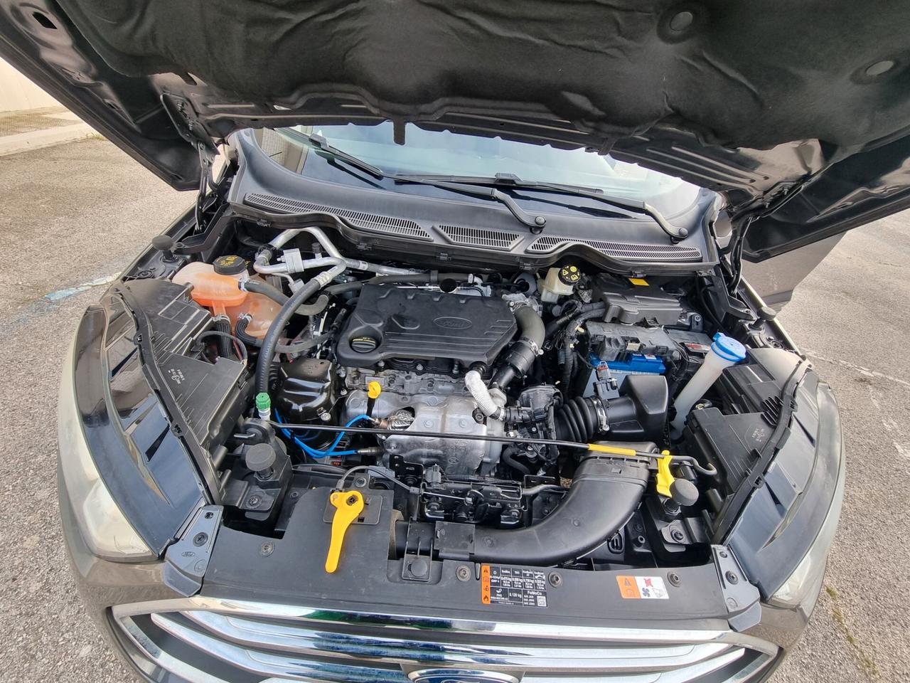 Ford EcoSport 1.5 Ecoblue 100 CV Start&Stop Titanium