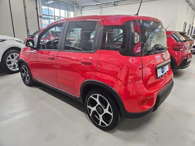 Fiat Panda Panda 1.0 hybrid 70cv Sport