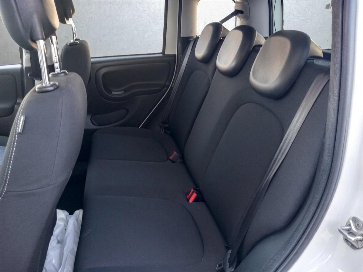FIAT PANDA - Panda 1.0 FireFly S&S Hybrid City Cross