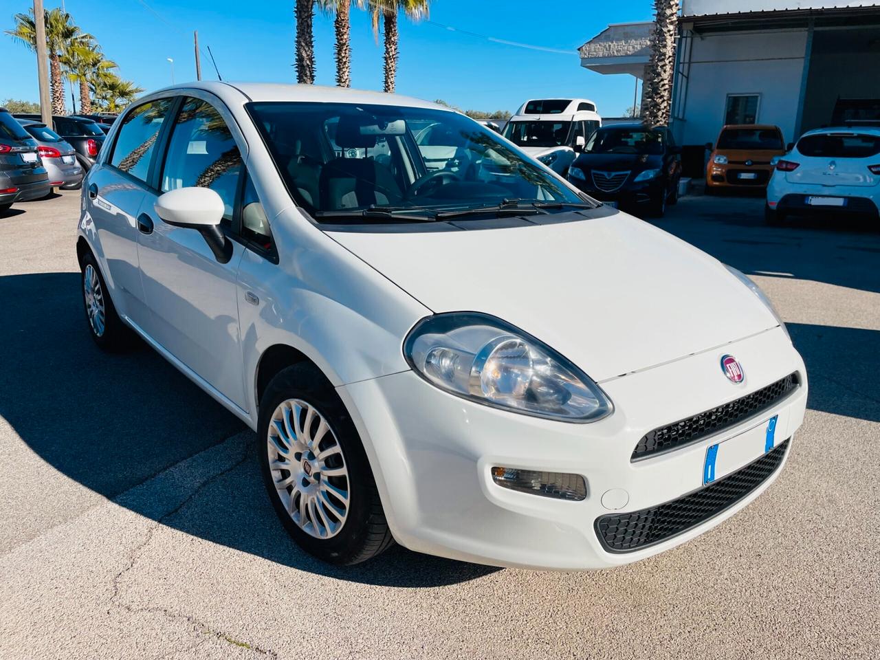 Fiat Punto 1.3 MJT II 75 CV 5 porte Lounge PER NEOPATENTATI