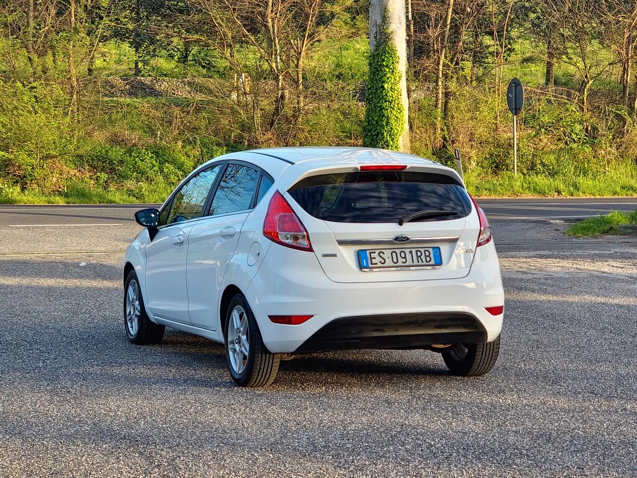 Ford Fiesta 1.0 EcoBoost 100CV 5 porte Titanium Benzina Manuale 2013 E5