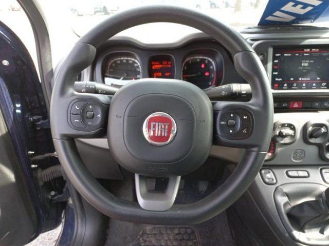 FIAT Panda my21 10 70cv hybrid city life