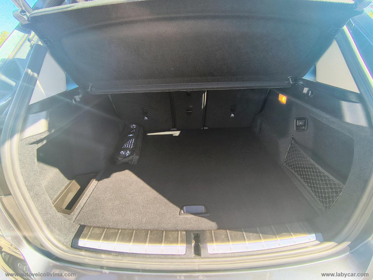 BMW X1 sDrive16d Business Advantage