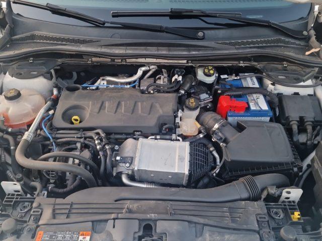 FORD Kuga 2.0 EcoBlue Hybrid 150 CV 2WD Titanium
