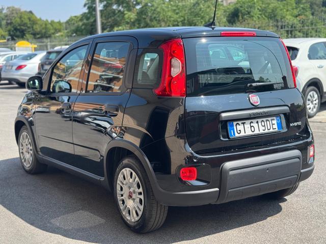 FIAT Panda 1.0 FireFly S&S Hybrid ( NESSUN VINCOLO)