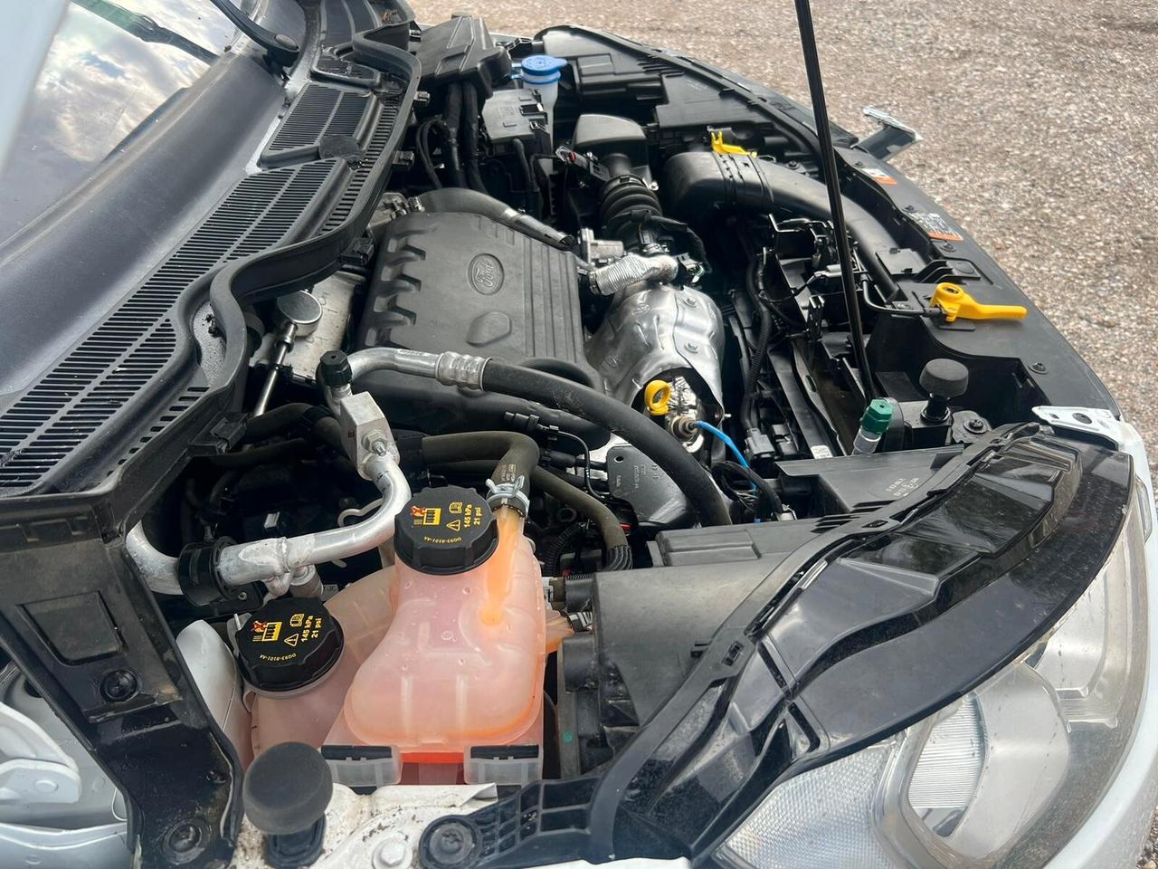 Ford EcoSport 1.5 Ecoblue 125 CV Start&Stop AWD Titanium