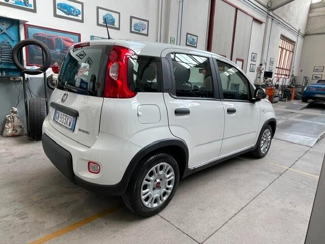 Fiat Panda 1.0 FireFly S&S Hybrid City Life Schermo Digitale Aziendale