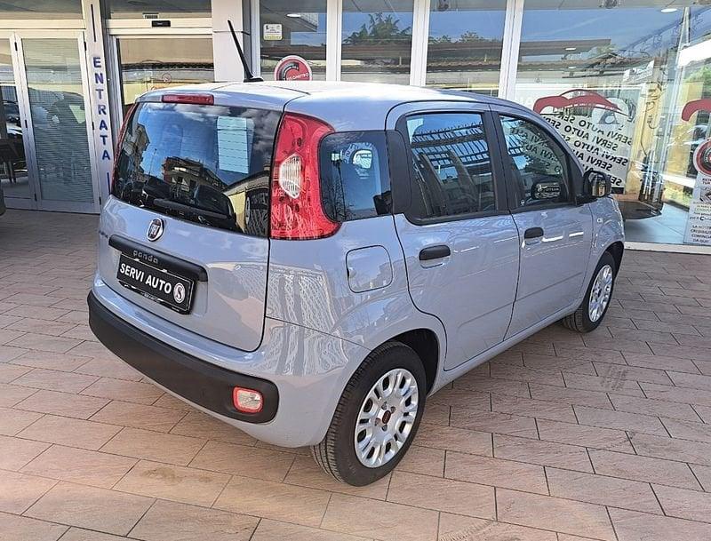 FIAT Panda Panda 1.2 Easy easypower Gpl 69cv