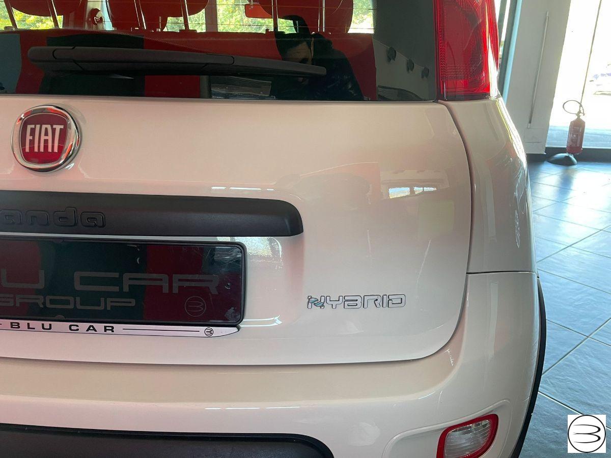FIAT - Panda - 1.0 FireFly S&S Hybrid City Life