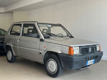 Fiat Panda 1100 i.e. cat College